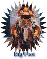 Big Foot Mascot