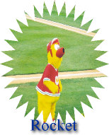 Rocket on the field